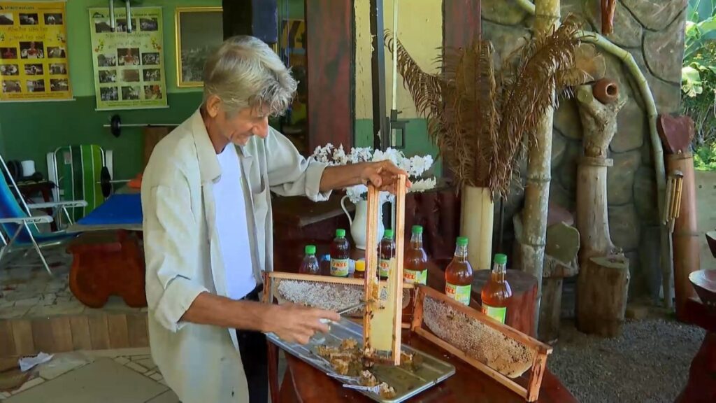 Como um Agricultor Transformou a Produção de Mel em um Negócio Lucrativo de 40 Anos no Espírito Santo Imagem do artigo