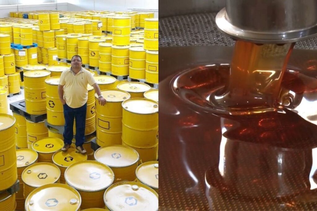 Impacto do Tarifaço de Trump: Exportador de Mel Orgânico Perde 585 Toneladas Imagem do artigo