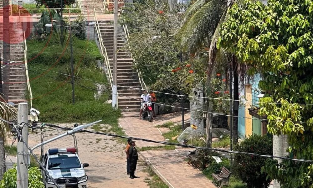 Tragédia em Cobija: Jovem de 25 anos Morre ao Cair de Palmeira ao Tentar Colher Coco Imagem do artigo