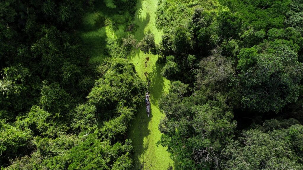Acre Avança em Credenciamento Internacional para Créditos de Carbono