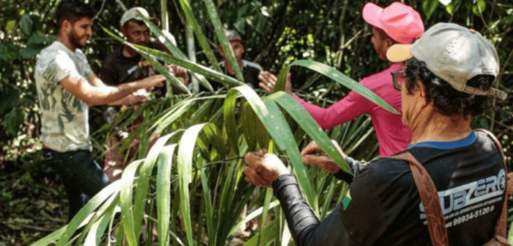 Brasil Integra Cultura e Meio Ambiente: Acordo Focado em Territórios Tradicionais Brasil Integra Cultura e Meio Ambiente: Acordo Focado em Territórios Tradicionais
