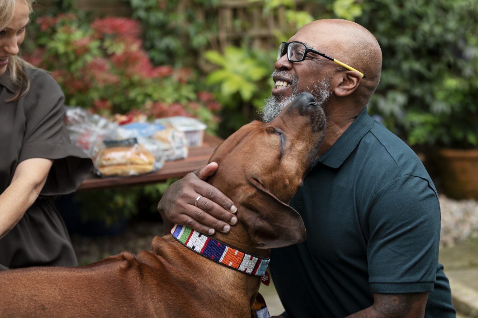 Como os Animais de Estimação Melhoram a Saúde Emocional dos Idosos