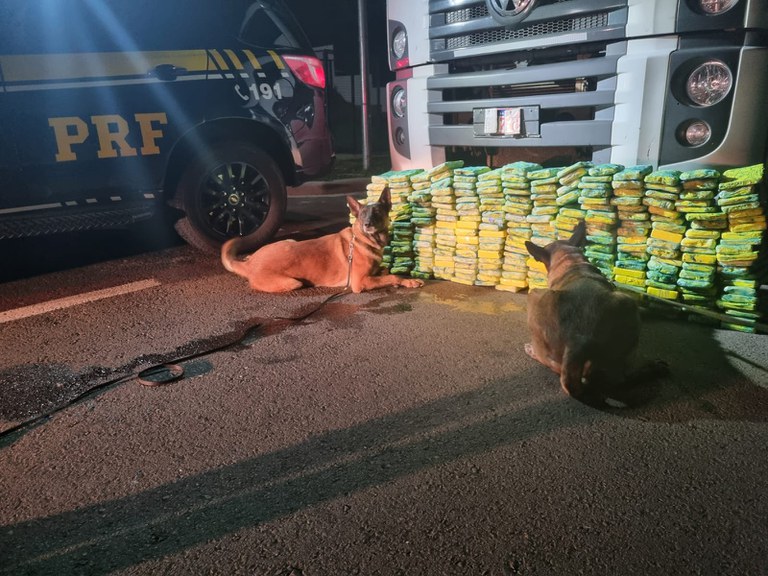 PRF Apreende 460 kg de Drogas com Apoio de Cães Farejadores no Paraná PRF Apreende 460 kg de Drogas com Apoio de Cães Farejadores no Paraná