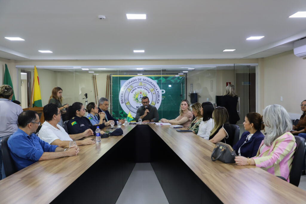 Sejusp Lança Plano Estratégico Decenal de Enfrentamento à Violência contra a Mulher Sejusp Lança Plano Estratégico Decenal de Enfrentamento à Violência contra a Mulher