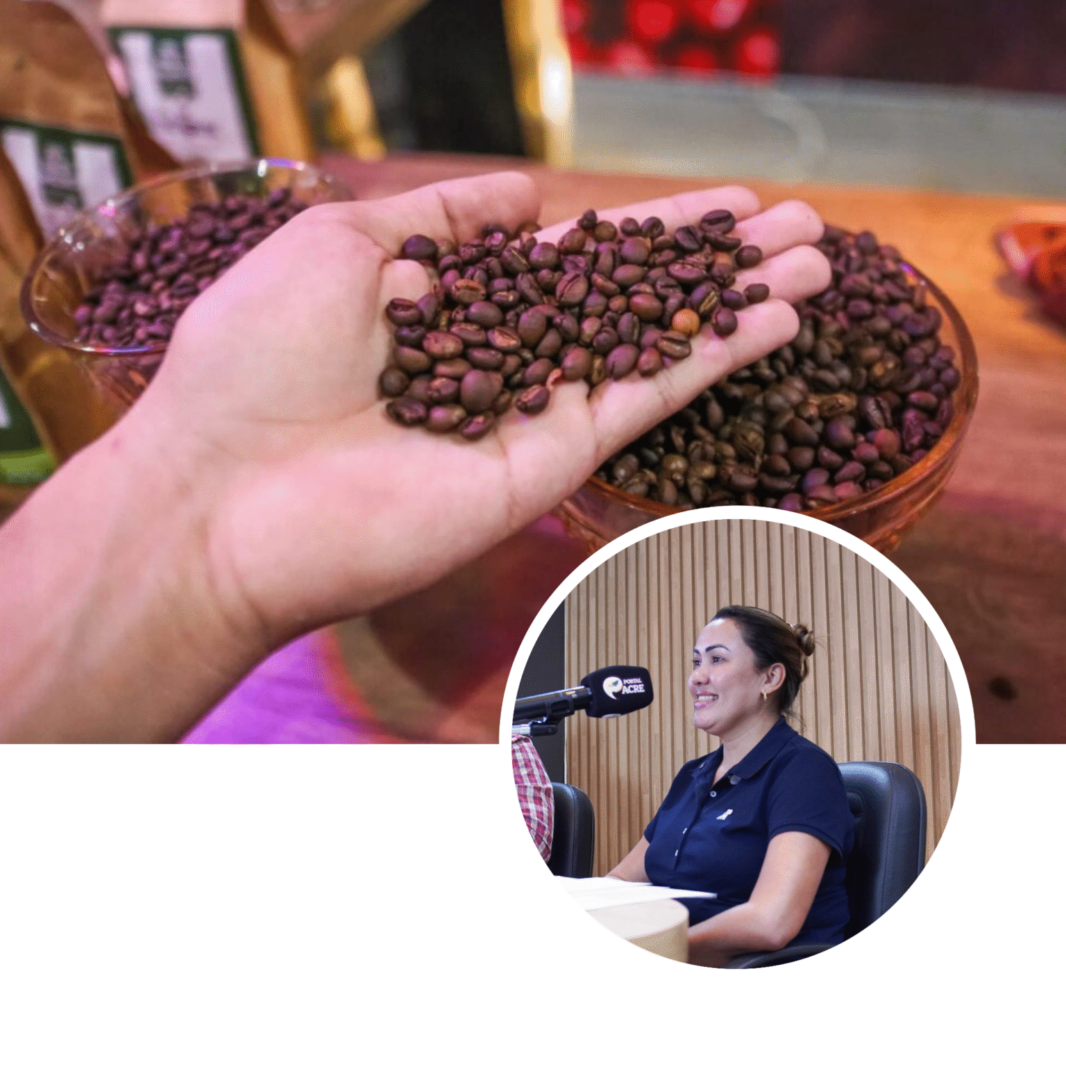 Café Acreano: Aposta na Qualidade e Expansão Internacional Café Acreano: Aposta na Qualidade e Expansão Internacional