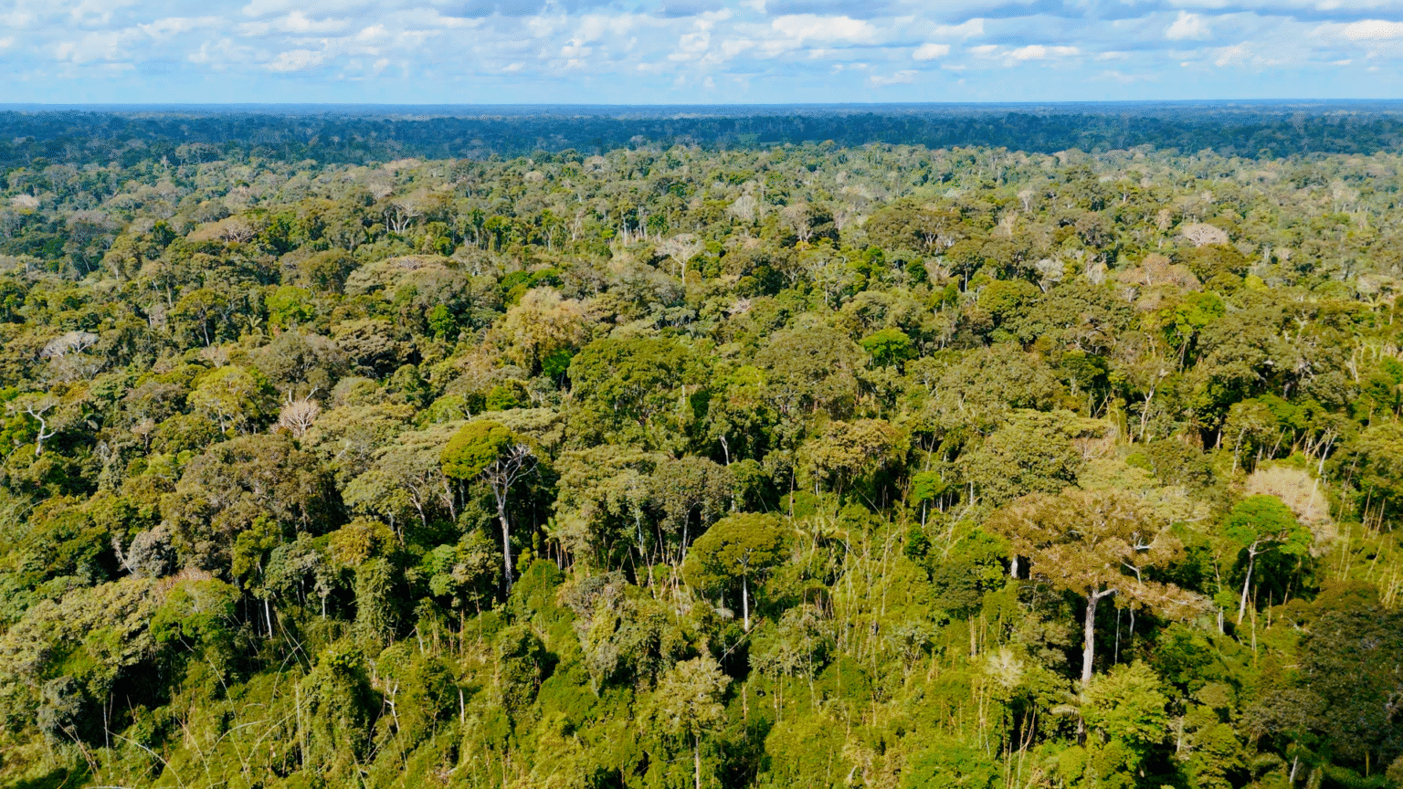 Nova Normativa Revoluciona Fiscalização Ambiental no Acre com Embargo Remoto