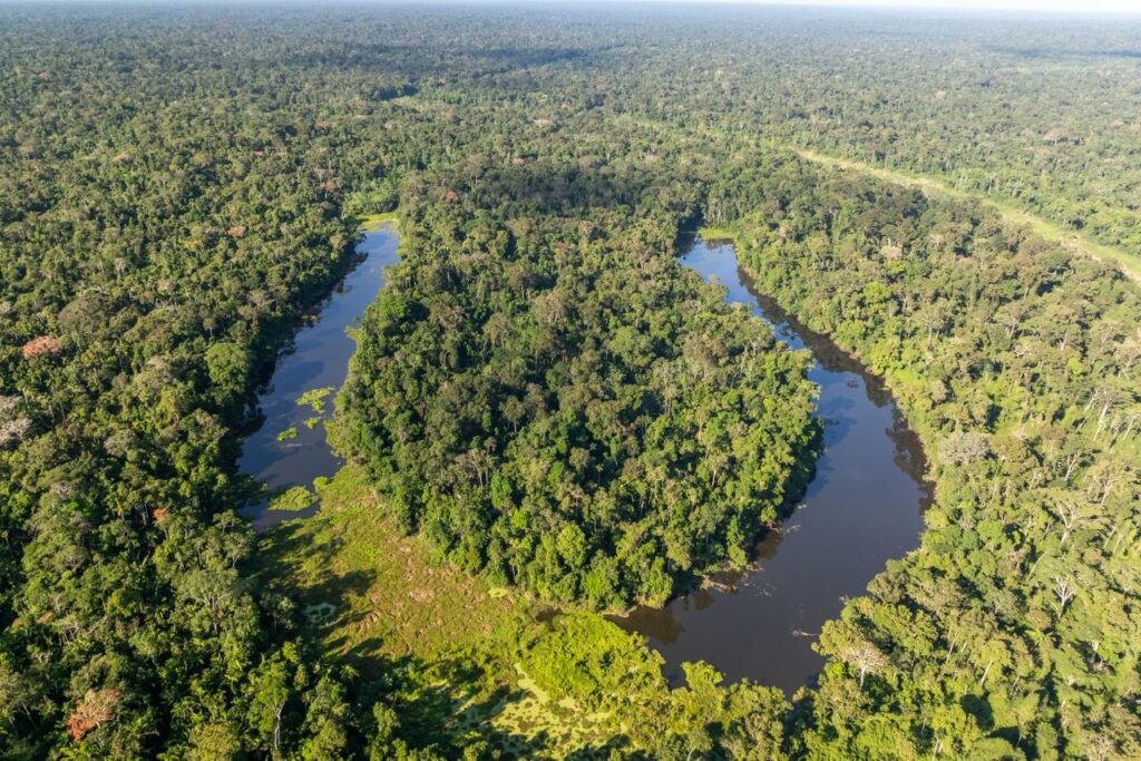 Transparência no Acre: Estado avança para verificação internacional de excelência ambiental