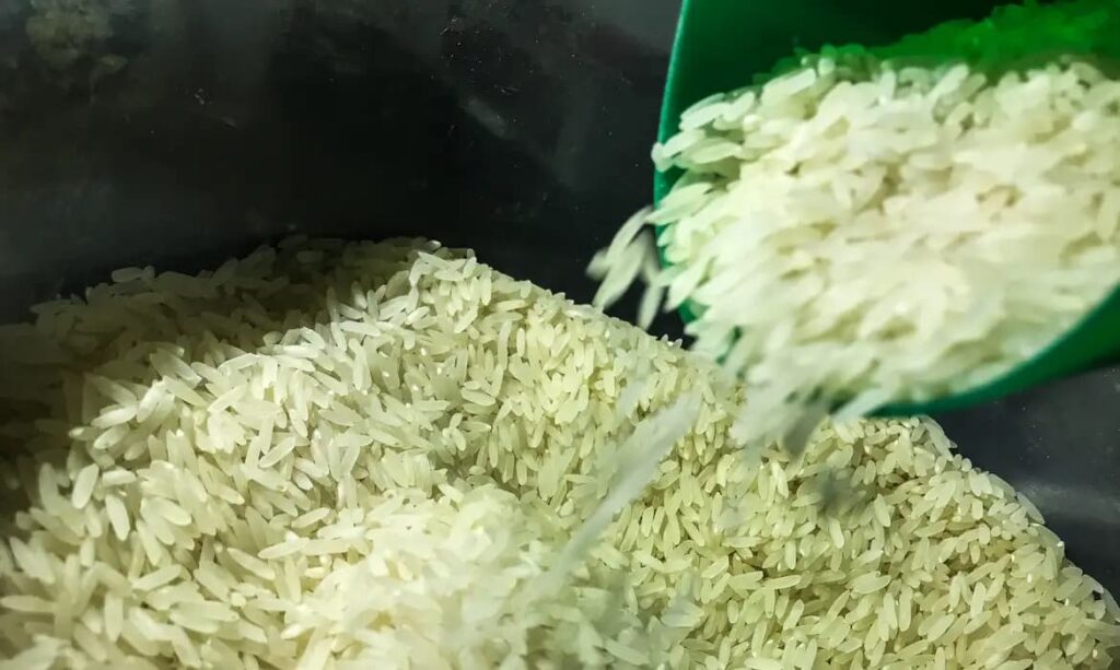 Zoneamento Agrícola de Risco Climático para o Arroz no Acre: O Que Muda na Safra 2026/2027