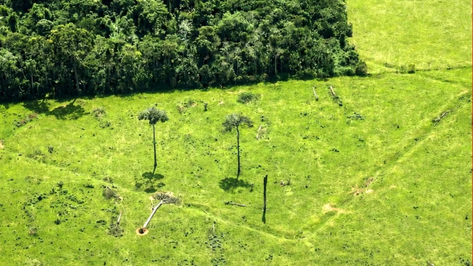 Quase 400 Novos Geoglifos São Descobertos em Sobrevoos no Acre e Região Amazônica Quase 400 Novos Geoglifos São Descobertos em Sobrevoos no Acre e Região Amazônica