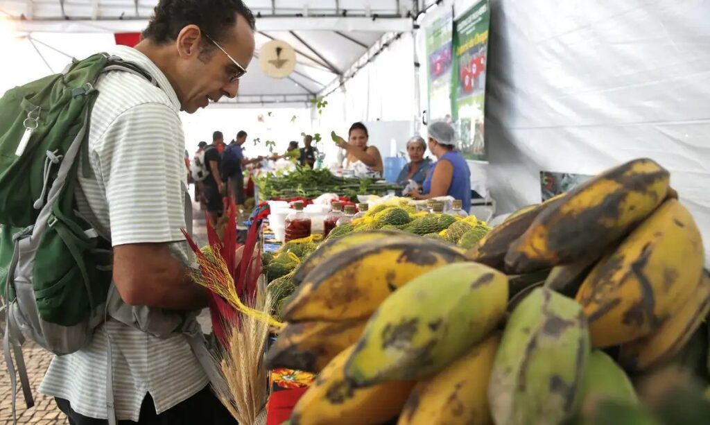 Dicas Práticas para Escolher Frutas e Verduras no Mercado e Evitar Desperdícios
