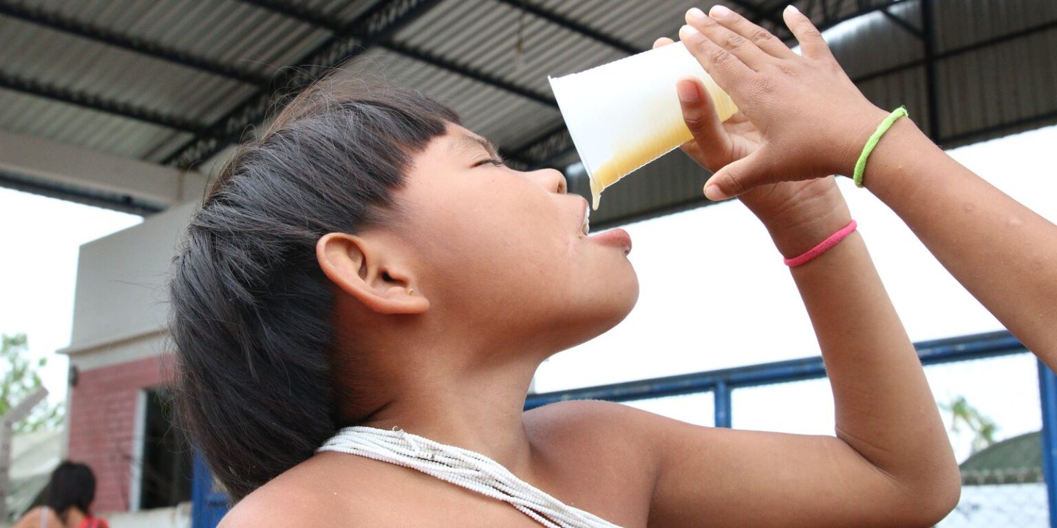 Aumento do Consumo de Alimentos Ultraprocessados em Comunidades Tradicionais no Brasil