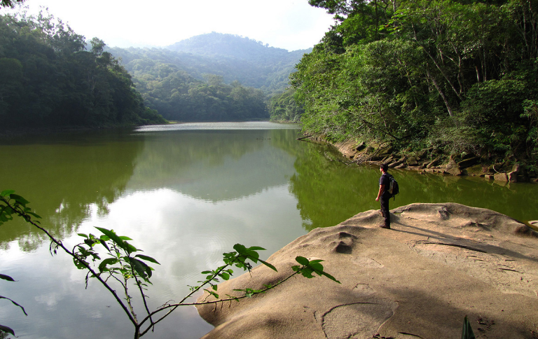 Do Cristo às Montanhas: A Nova Trilha que Redefine o Rio de Janeiro pela Natureza