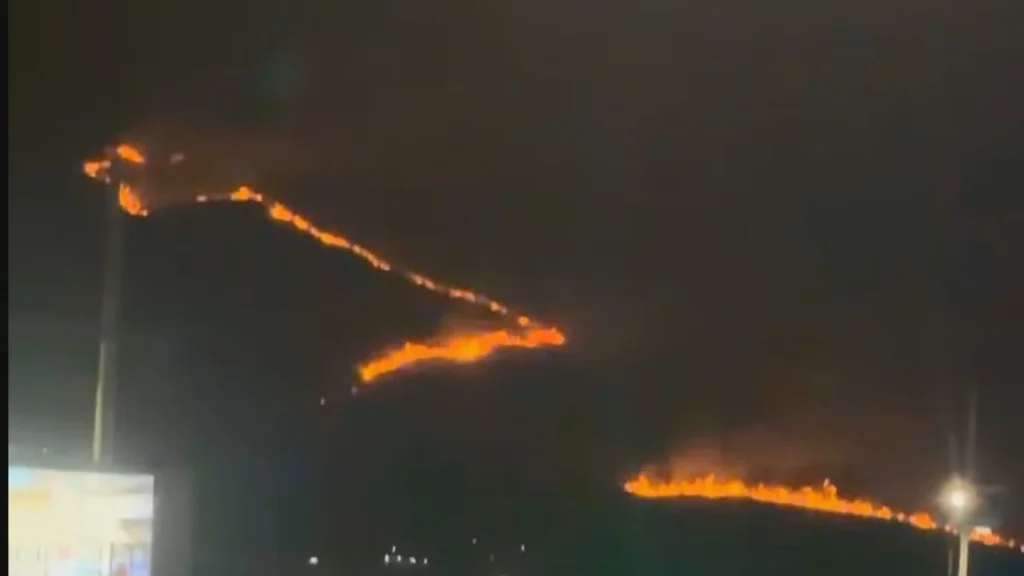 Incêndio Criminoso na Serra do Vulcão Destrói Mais de 3 Mil Árvores