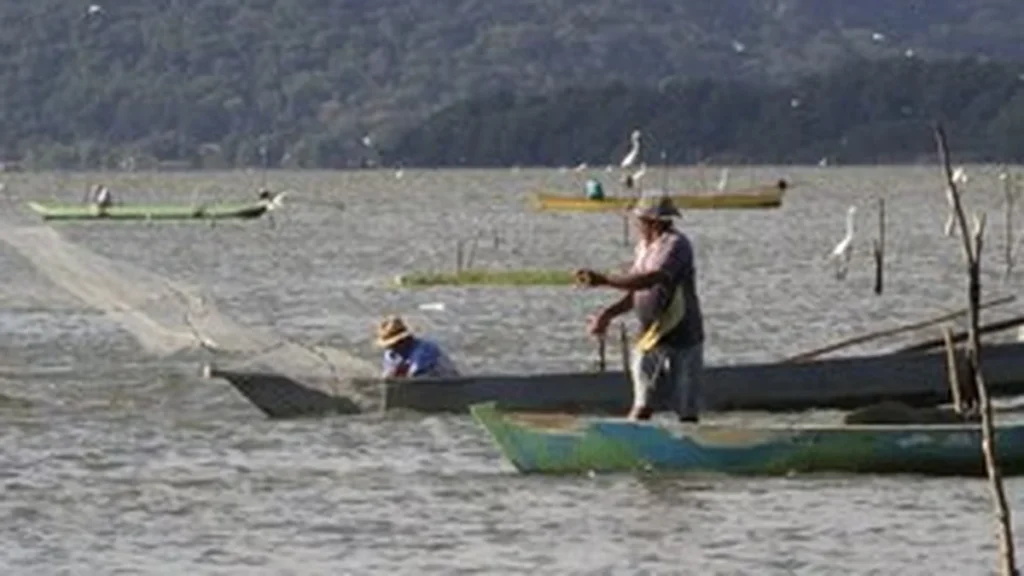 Cinco pontos de rios e lagoas em Alagoas estão impróprios para banho, indica IMA Cinco pontos de rios e lagoas em Alagoas estão impróprios para banho, indica IMA