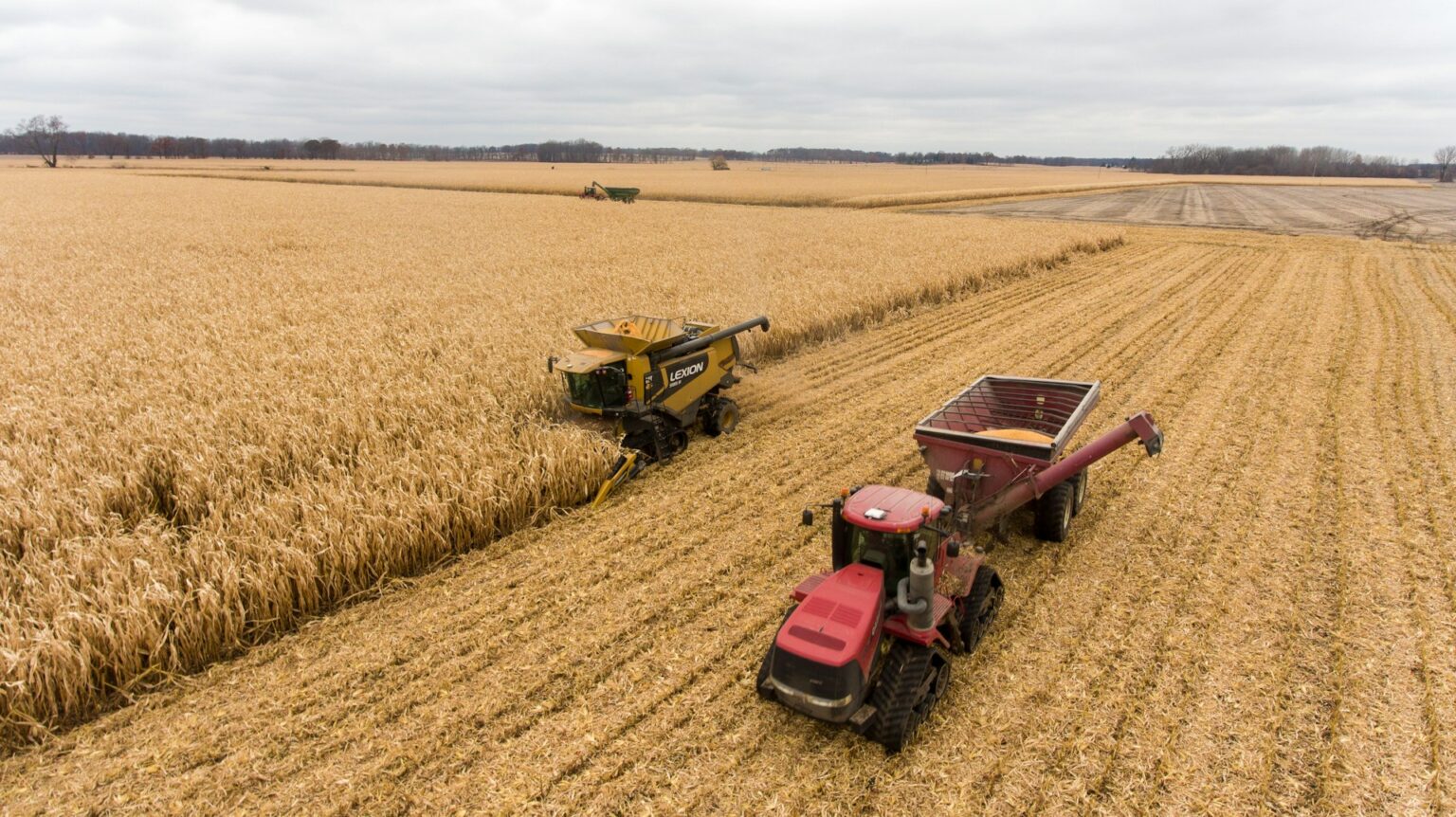 Recuperação Judicial em Mato Grosso: A Análise do Agronegócio pela Jurimetria Recuperação Judicial em Mato Grosso: A Análise do Agronegócio pela Jurimetria