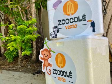 Verão no Parque Zoobotânico da Bahia: Cuidados Especiais para o Bem-Estar Animal Verão no Parque Zoobotânico da Bahia: Cuidados Especiais para o Bem-Estar Animal