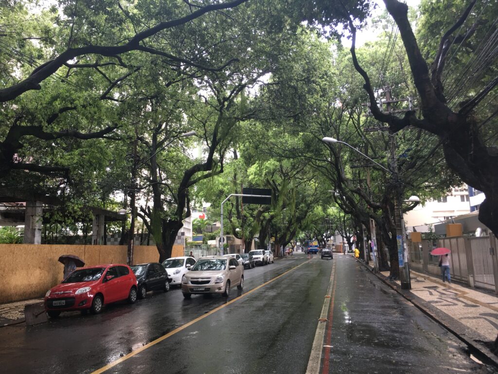 Justiça Federal Anula Leilão de Terreno em Salvador por Inconstitucionalidade Justiça Federal Anula Leilão de Terreno em Salvador por Inconstitucionalidade