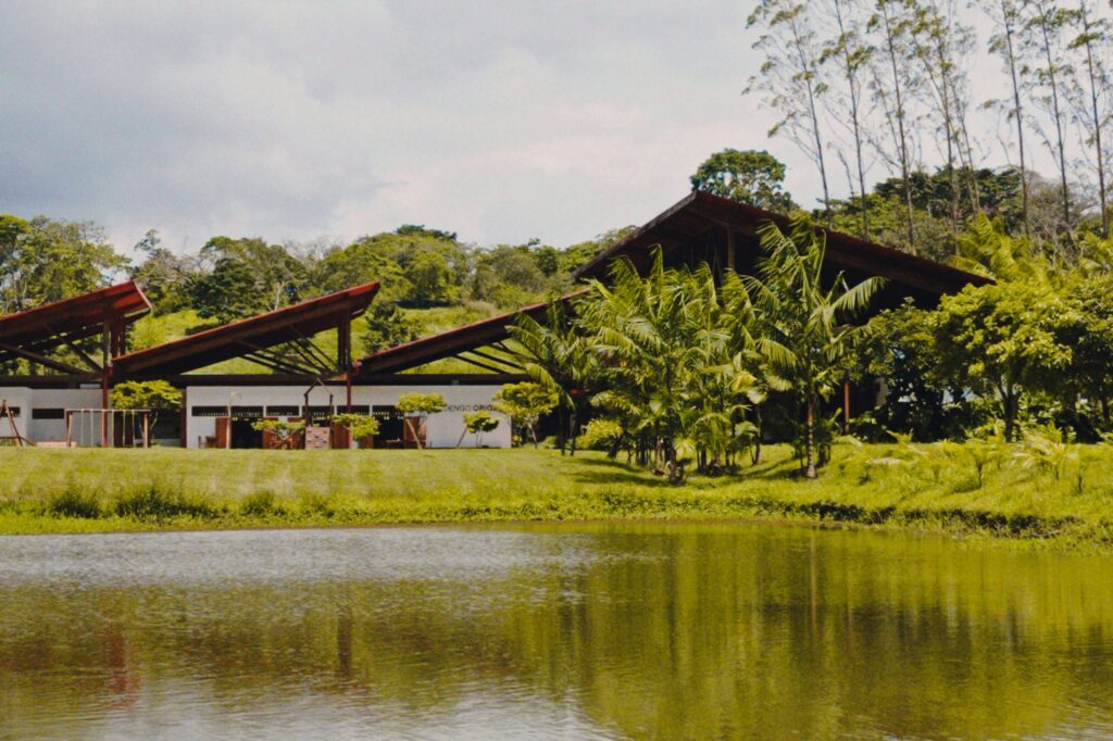 Cabrucarte: Evento Cultural Gratuito Celebrará a Cultura do Cacau em Ilhéus Cabrucarte: Evento Cultural Gratuito Celebrará a Cultura do Cacau em Ilhéus
