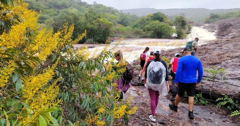 Turismo Sustentável na Bahia: Uma Aliança entre Economia e Conservação Ambiental