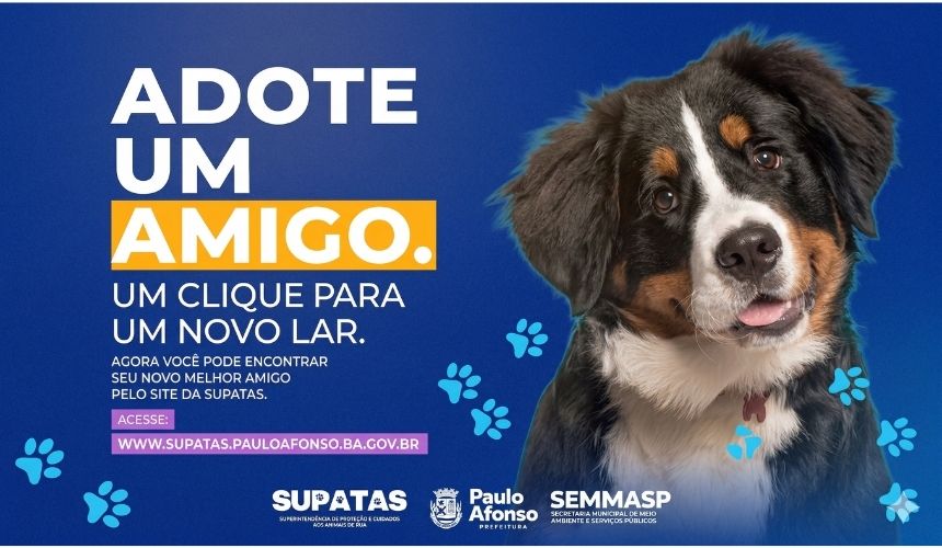 Plataforma Digital de Adoção Responsável de Animais em Paulo Afonso Plataforma Digital de Adoção Responsável de Animais em Paulo Afonso