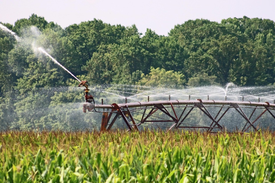 Irrigação: A Chave para Aumentar Produtividade e Geração de Empregos no Brasil