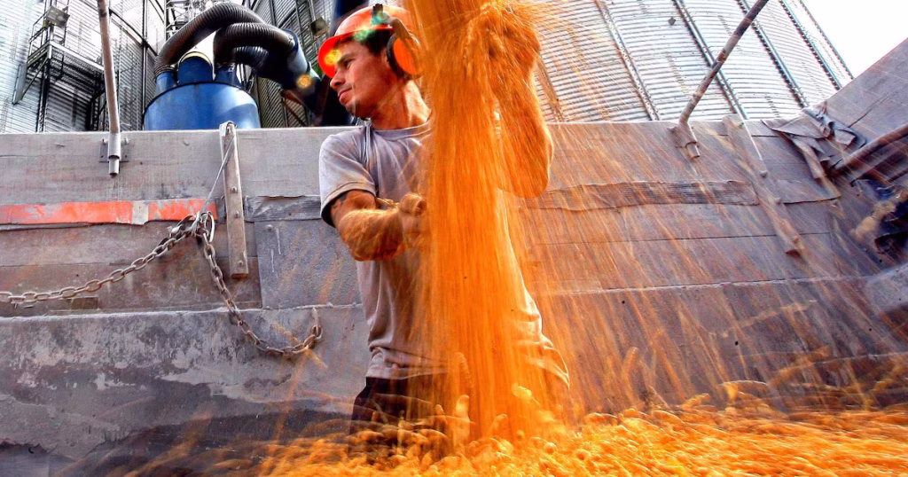 Agronegócio: De Recordes em 2025 à Estagnação em 2026; Entenda o Cenário Agronegócio: De Recordes em 2025 à Estagnação em 2026; Entenda o Cenário