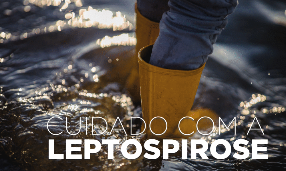 Alerta de Saúde: Leptospirose Aumenta Risco Após Chuvas no Paraná Alerta de Saúde: Leptospirose Aumenta Risco Após Chuvas no Paraná