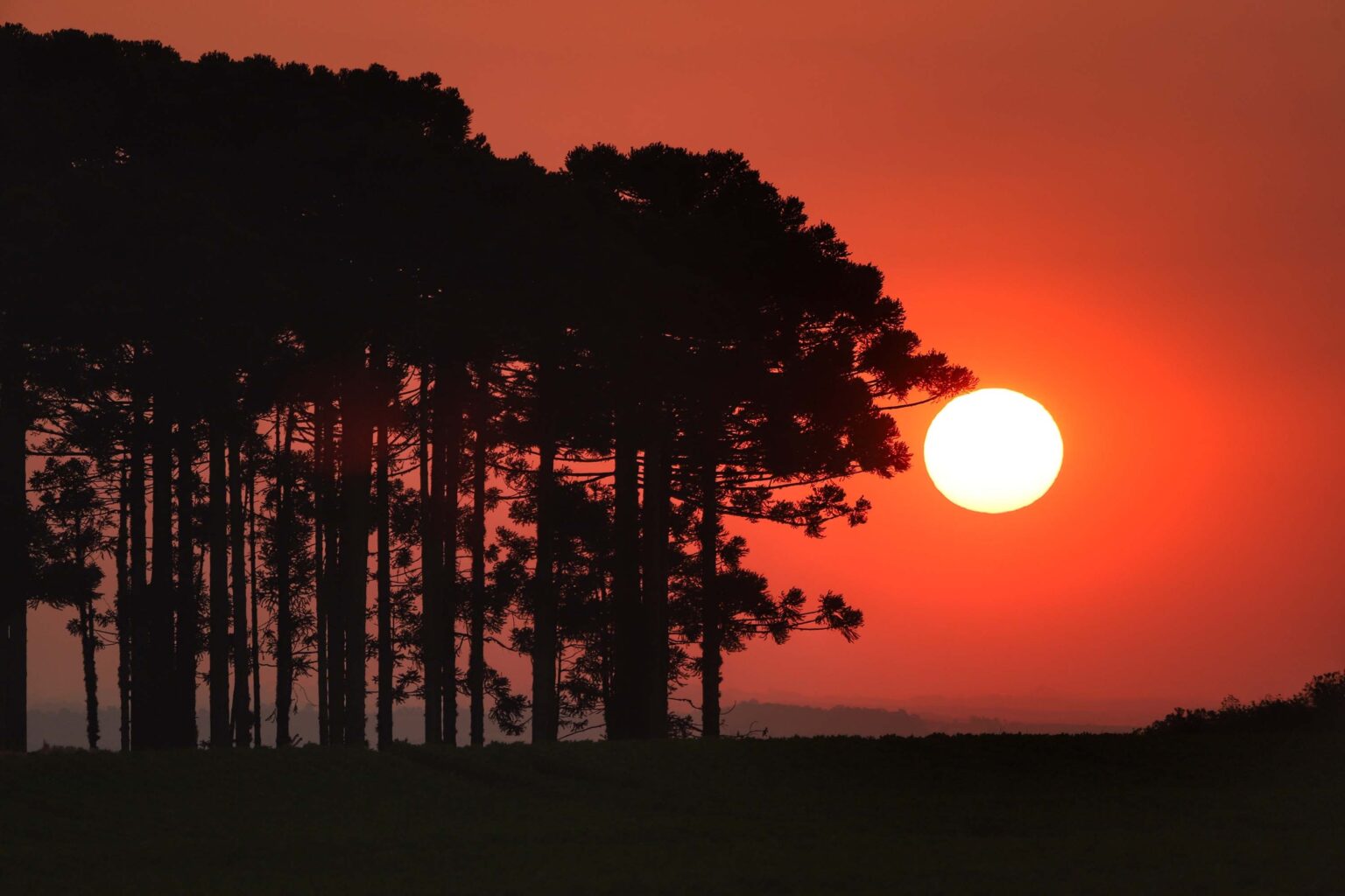 Verão no Paraná: Expectativa de chuvas intensas e calor acima da média Verão no Paraná: Expectativa de chuvas intensas e calor acima da média