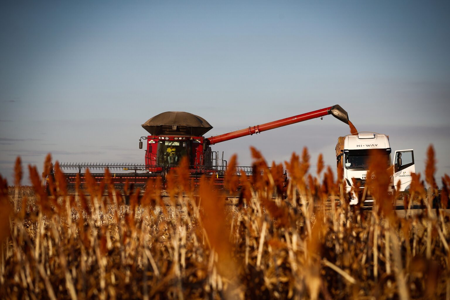 Acordo Mercosul–UE: Desafios e Oportunidades para o Agronegócio Brasileiro