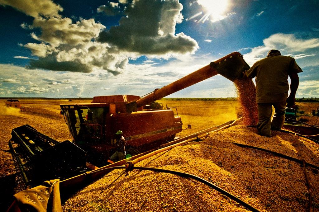 Produção de Grãos no Nordeste Crescerá 2,2% em 2026 com Destaque para o Piauí Produção de Grãos no Nordeste Crescerá 2,2% em 2026 com Destaque para o Piauí