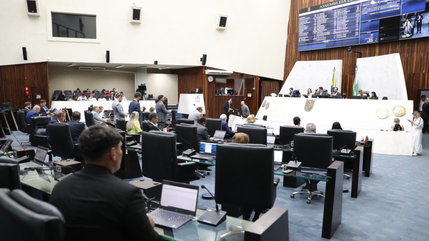 Programa Orienta Paraná é aprovado para apoiar jovens na escolha profissional Programa Orienta Paraná é aprovado para apoiar jovens na escolha profissional