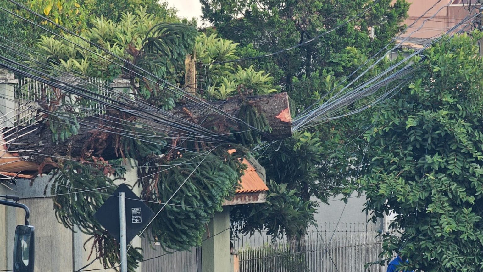 Tempestade em Curitiba: Ventos de até 70 km/h Causam Estragos e Queda de Árvores