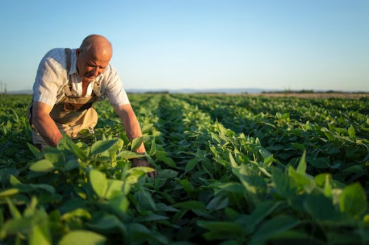 Seminário de Empreendedorismo no Agronegócio em Atibaia: Inscrições Abertas para Produtores Rurais Seminário de Empreendedorismo no Agronegócio em Atibaia: Inscrições Abertas para Produtores Rurais