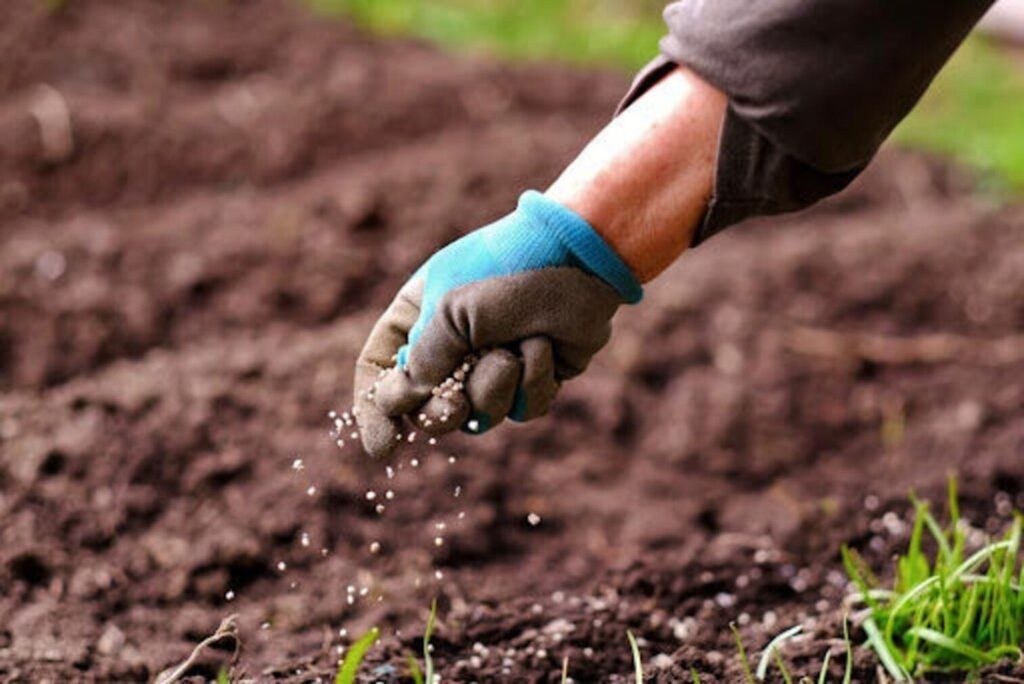 Conflito no Irã Aumenta Custos de Fertilizantes e Impacta o Agronegócio Brasileiro