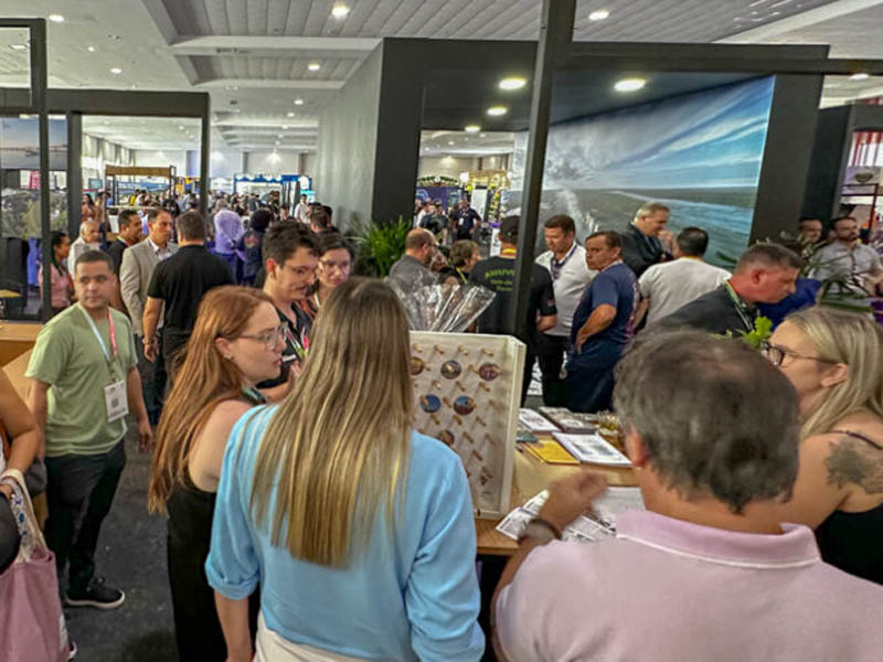 Curitiba: O Novo Centro Estratégico do Turismo no Sul com R$ 1,7 Bilhão em Movimento Curitiba: O Novo Centro Estratégico do Turismo no Sul com R$ 1,7 Bilhão em Movimento