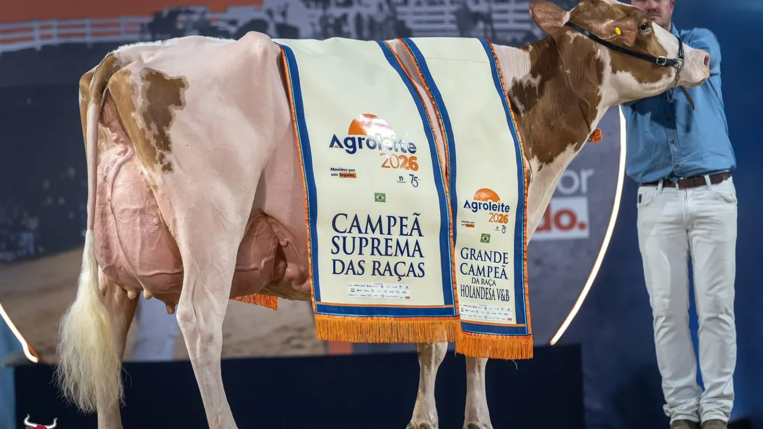 Vaca do Paraná conquista título máximo na 26ª Agroleite, maior evento de tecnologia leiteira da Amér