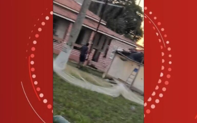Liderança indígena baleada durante manifestação no sul da Bahia; jovem também é ferido Imagem do artigo