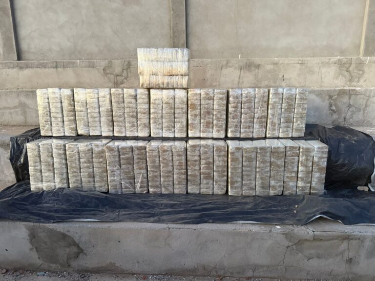 Confronto Fatal: Homem é Morto em Ação Policial com 500 kg de Cocaína na Bahia Imagem do artigo
