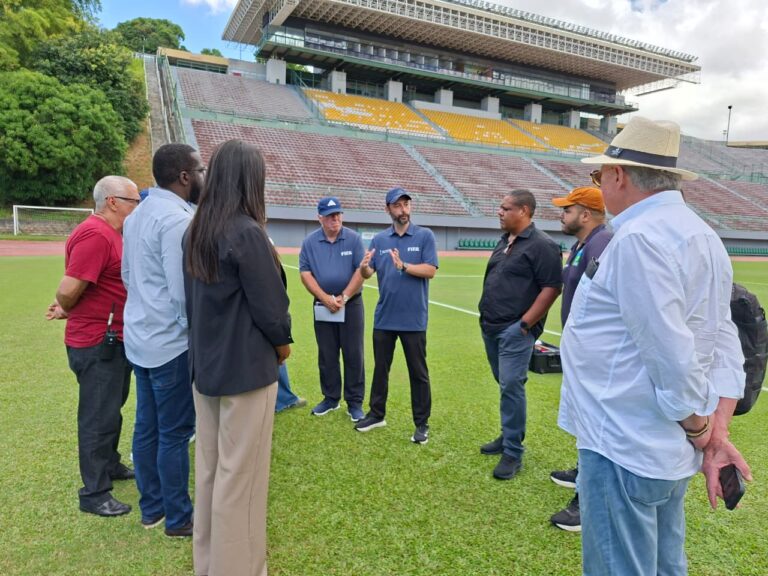 Estádio de Pituaçu Passa por Reformas: Novo Gramado a Partir de 6 de Abril