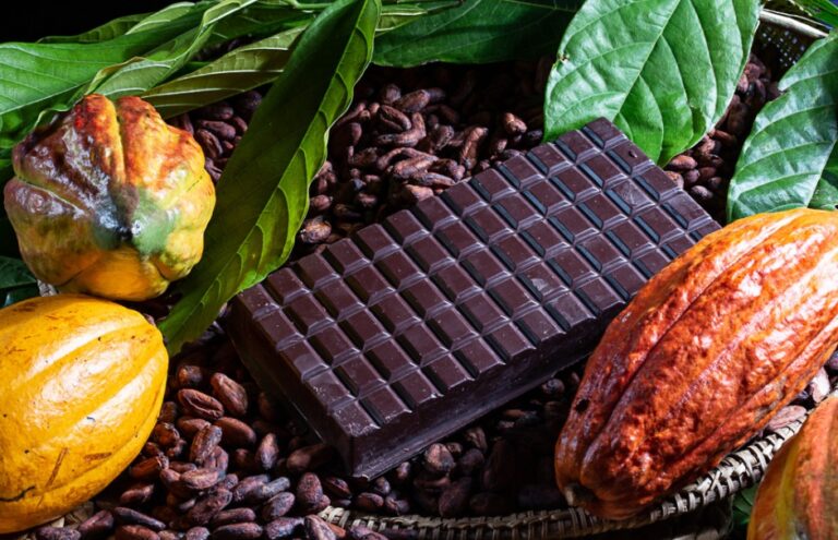 Páscoa Potencializa Produção de Chocolates Artesanais no Sul da Bahia Páscoa Potencializa Produção de Chocolates Artesanais no Sul da Bahia