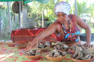 Turismo Rural Comunitário na Bahia: Vivências Culturais e Conexão com a Natureza Turismo Rural Comunitário na Bahia: Vivências Culturais e Conexão com a Natureza