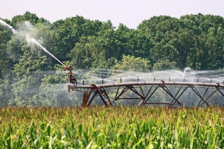 Irrigação: Potencial para Aumentar Produtividade e Empregos no Brasil, Revela Estudo da ABIMAQ e USP