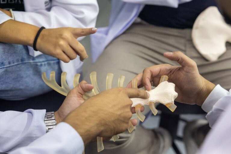 Saúde é Coisa Séria: Ideias para Revolucionar o Ensino de Medicina no Brasil