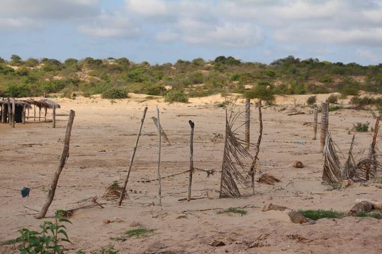 Pernambuco promove seminários para combater desertificação e seca Pernambuco promove seminários para combater desertificação e seca