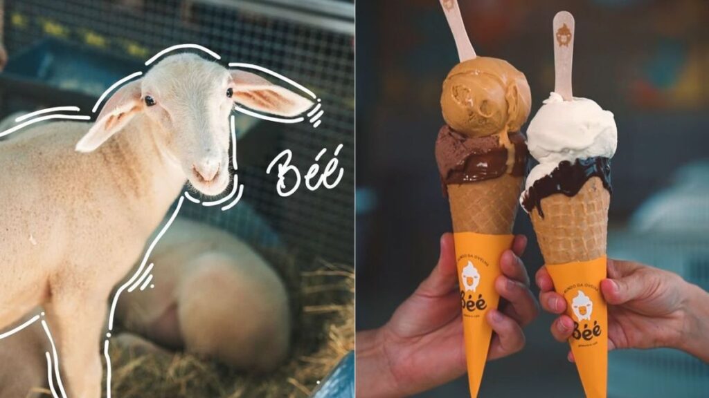 Gelateria Única no Mundo: Sabor Inigualável com Leite de Ovelha em SC Gelateria Única no Mundo: Sabor Inigualável com Leite de Ovelha em SC
