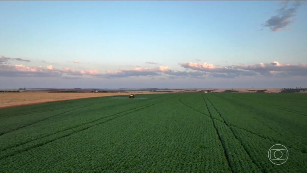 Guerra no Oriente Médio Eleva Preço de Fertilizantes e Gera Preocupação no Agronegócio Brasileiro Guerra no Oriente Médio Eleva Preço de Fertilizantes e Gera Preocupação no Agronegócio Brasileiro