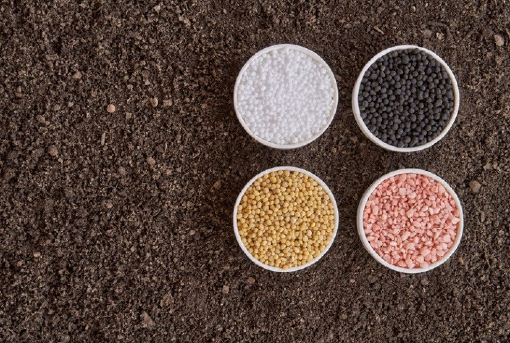 Pressão nos Custos: Alta dos Fertilizantes Impacta Produtores Rurais em 2026 Pressão nos Custos: Alta dos Fertilizantes Impacta Produtores Rurais em 2026