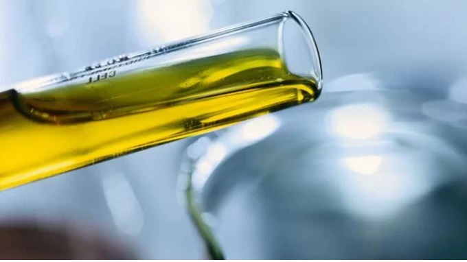 Diversificação no Agronegócio: Etanol e Biodiesel de Novas Culturas em Alta Diversificação no Agronegócio: Etanol e Biodiesel de Novas Culturas em Alta