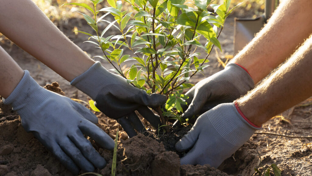 Saúde no Campo: Uma Revolução no Cuidado aos Produtores Rurais
