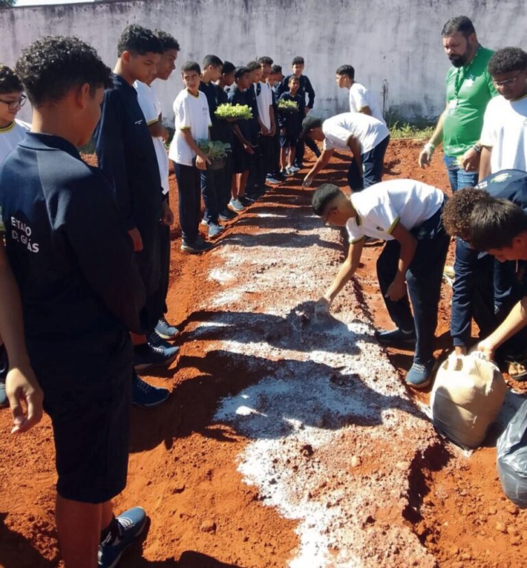 Imagem do artigo